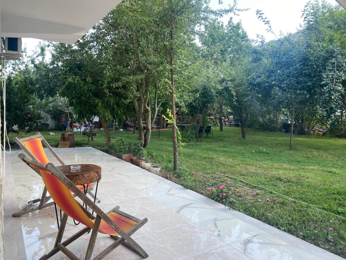 Xho'S Forest Guest House Berat Buitenkant foto